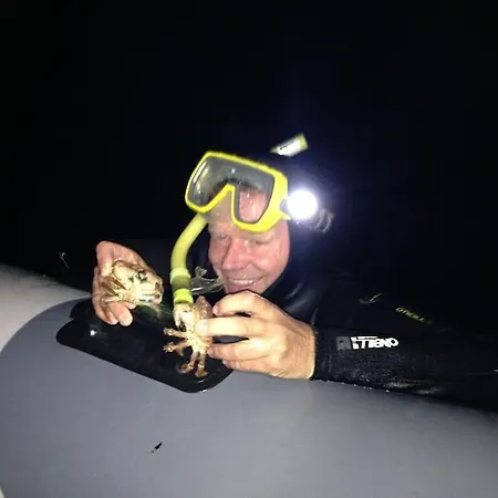 Cottage, Boat, Spa, Private Dock, Vakantiehuis *