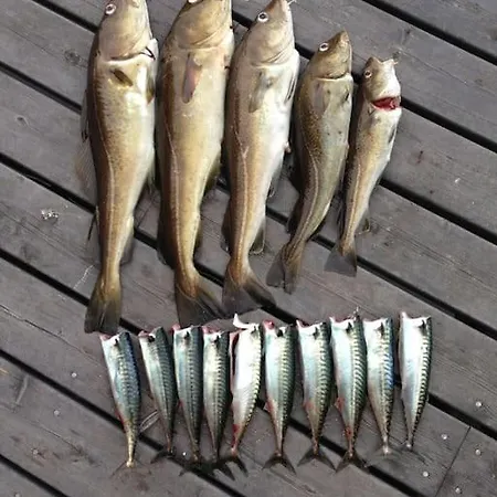 Cottage, Boat, Spa, Private Dock, Vakantiehuis Lillesand