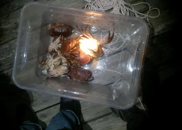 Cottage, Boat, Spa, Private Dock, *