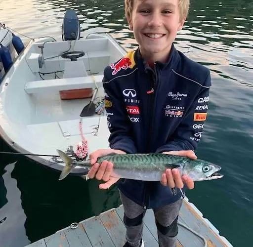 Cottage, Boat, Spa, Private Dock, Lillesand